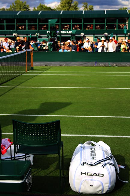 A close-up view of a tennis court with a black net stretched across the reddish-brown clay surface, which is marked with white boundary lines. The net is positioned at the center of the image, dividin