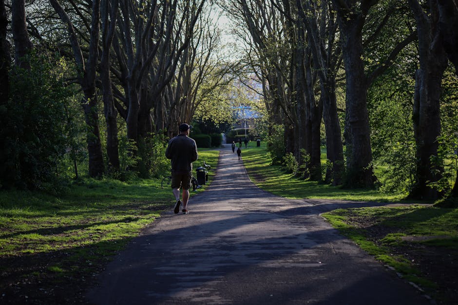 A person wearing a dark jacket, shorts, and a cap walking along a paved pathway in a park lined with tall, mature trees on both sides, with branches creating a canopy overhead. The pathway is illumina